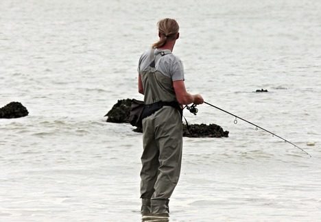 Gode råd om akvarier