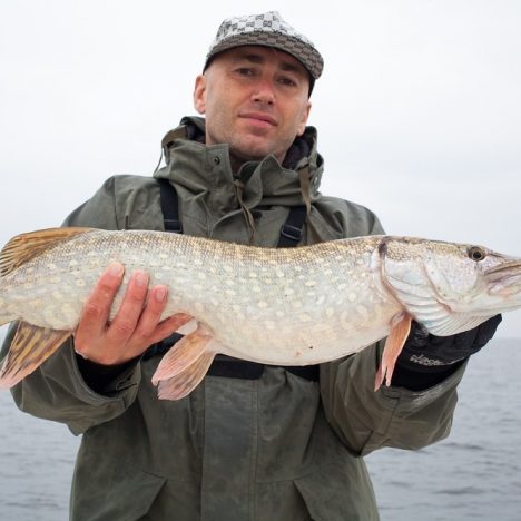 Husk madpakken på fisketuren